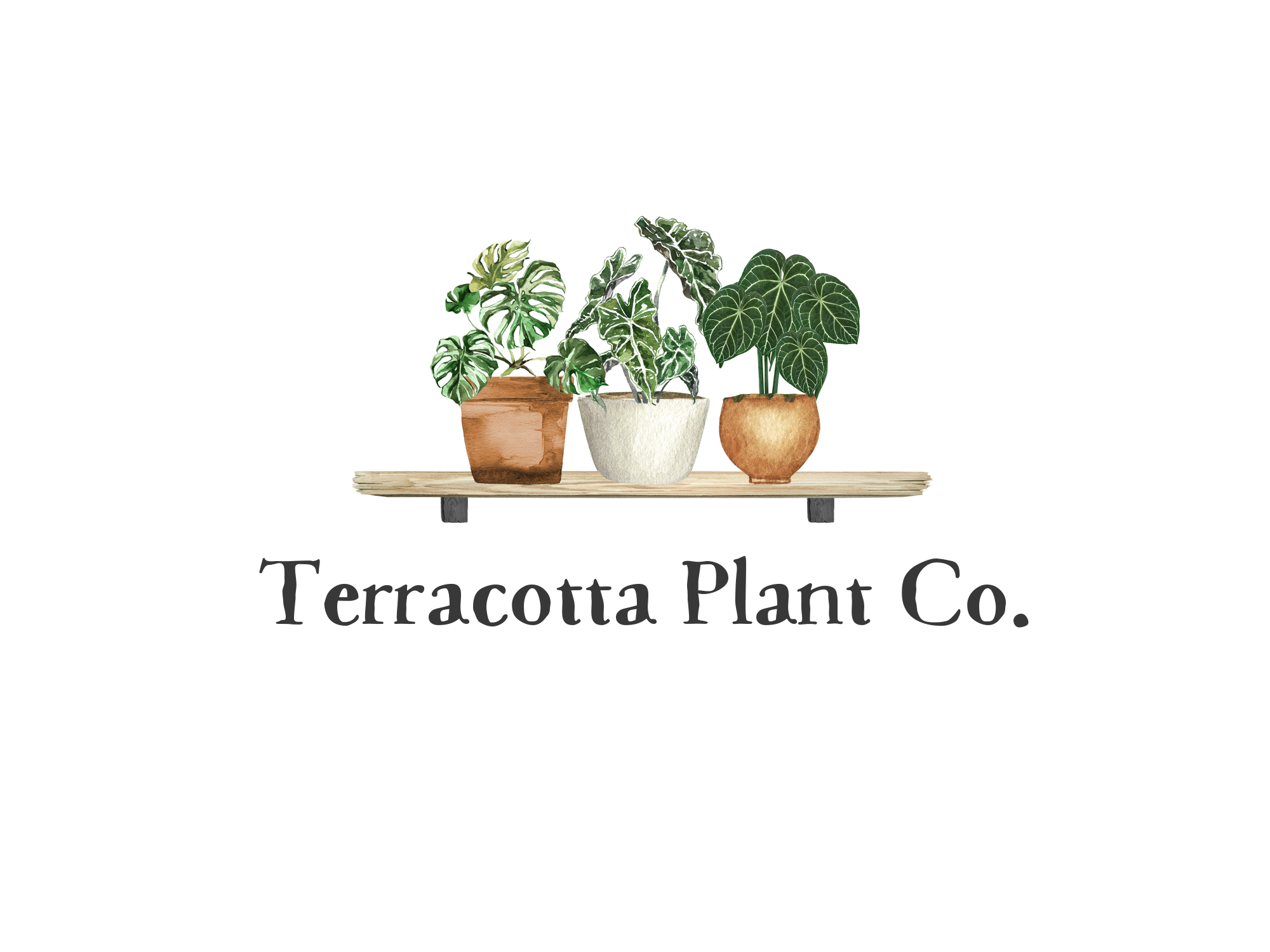 Terracotta Plant Co.