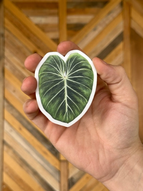 Philodendron Gloriosum Sticker