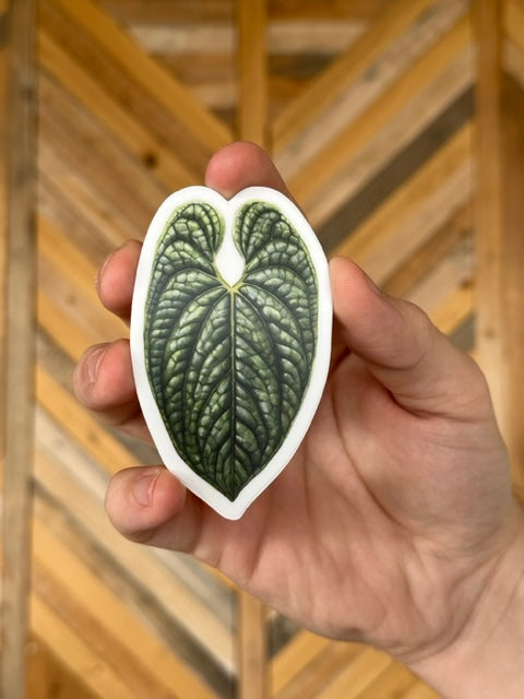 Anthurium Luxurians Sticker