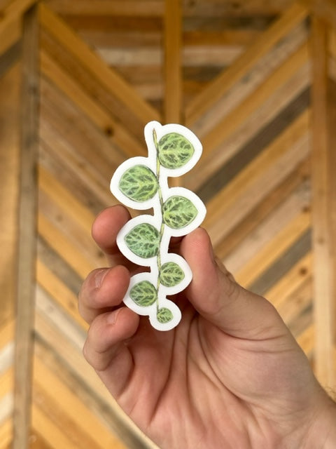 String of Turtles Sticker