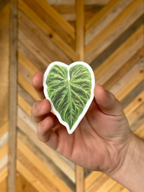 Philodendron Verrucosum Sticker