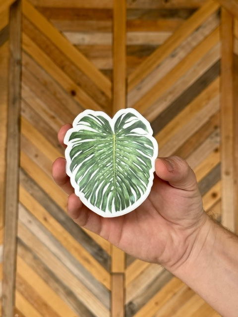 Monstera Deliciosa Sticker