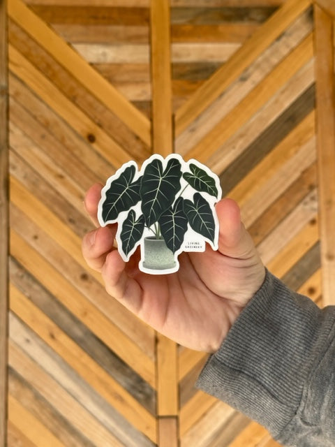 Alocasia Frydek Sticker