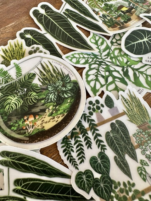 Alocasia Black Velvet Sticker