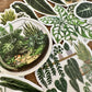 Greenhouse Mister Sticker