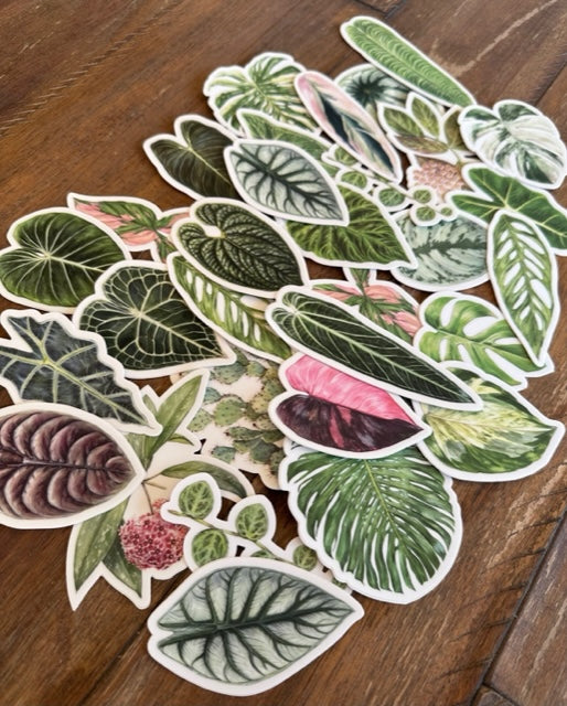 String of Turtles Sticker