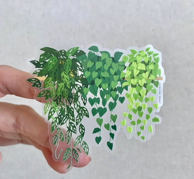 Hanging Plants on a Shelf sticker