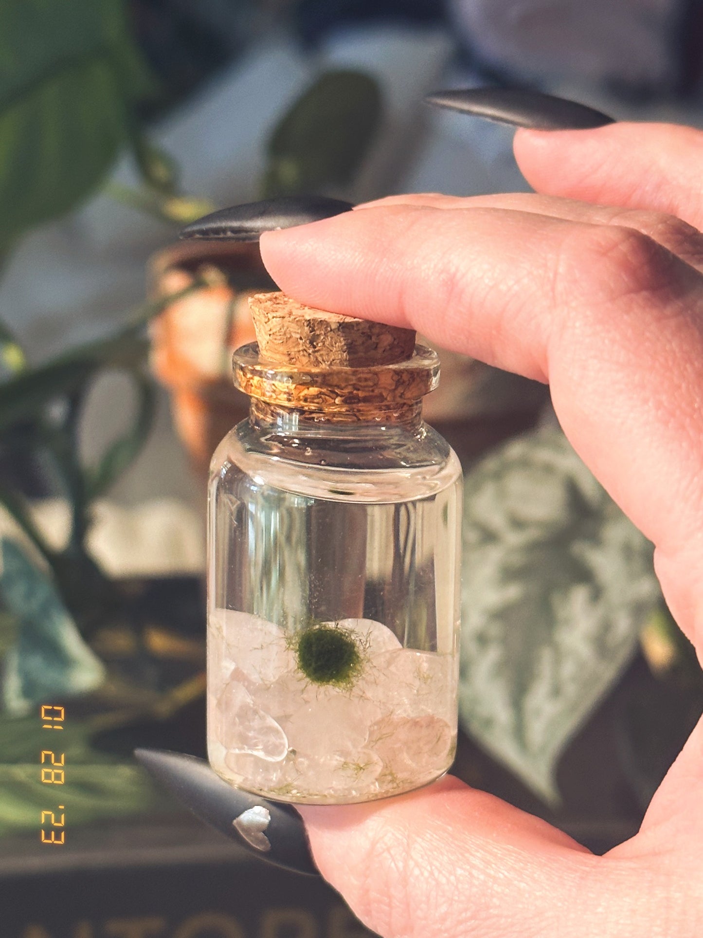 Rose Quartz Mini Moss Ball + MB Enclosure